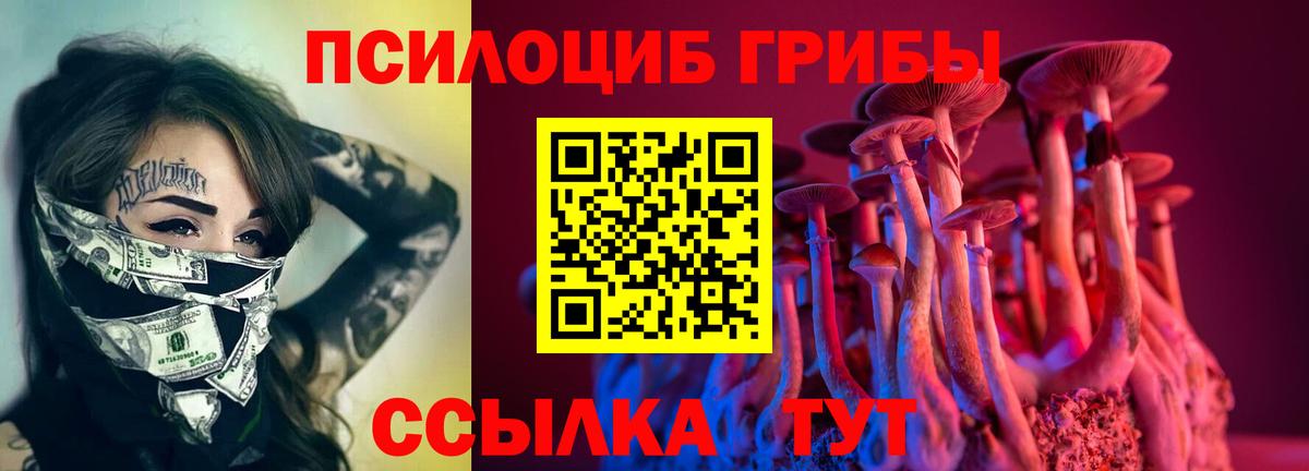 Галлюциногенные грибы GOLDEN TEACHER  Псилоцибиновые грибы GOLDEN TEACHER  Вход с VPN  Саяногорск 